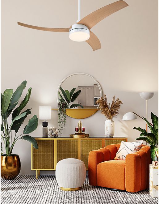 ������ ���� ������� CCT 52