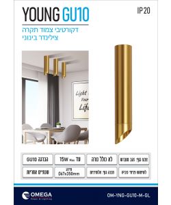צלינדר צמוד תקרה  YOUNG M GU10 זהב מוברש