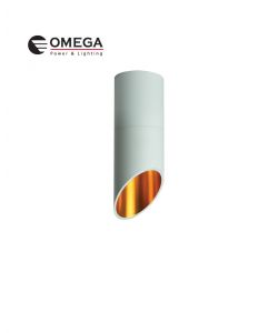 צלינדר צמוד תקרה  YOUNG GU10 קטן לבן